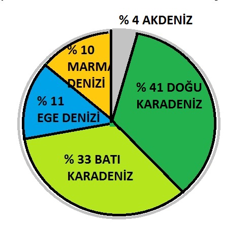  Türkiye'nin denizleri ve üretim oranları