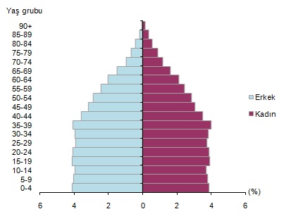  Türkiye  nin nüfus piramidi
