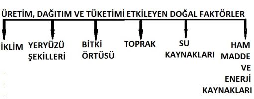  DOĞAL FAKTÖRLER