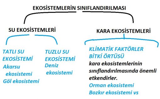  ekosistemlerin sınıflandırılması